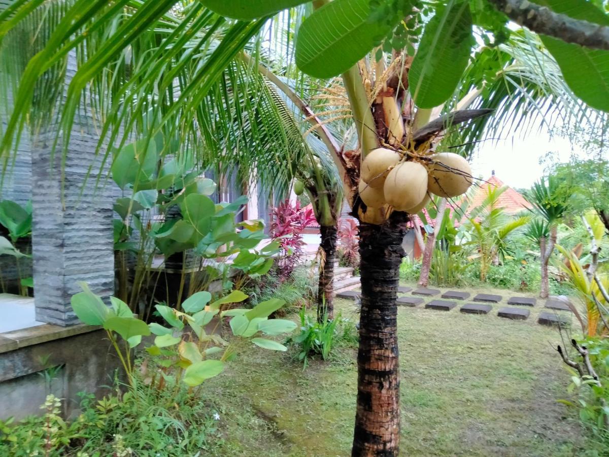 Pier26 Bali Homestay Nusa Dua  Exterior photo